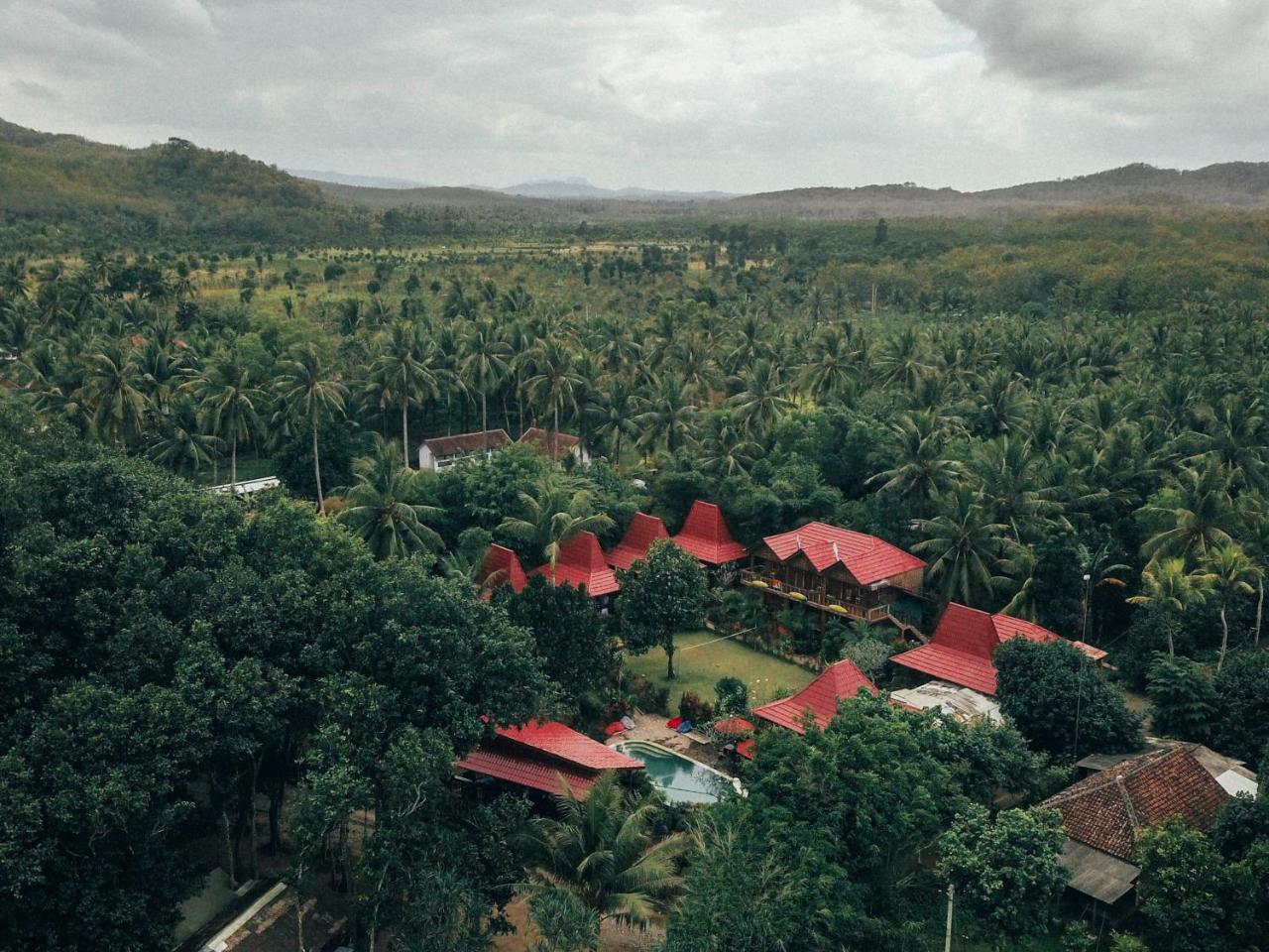 Mojosurf Camp Red Island Hotel Pasanggaran Buitenkant foto